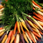 From Past to Present: Why Heirloom Varietals Matter