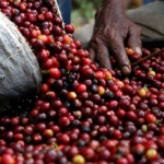 Fair Trade Rules: Why Everyone Should Earn a Living Wage