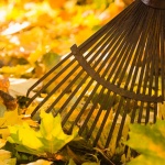 Rake & Break: Fall Safety Cleanup Tips