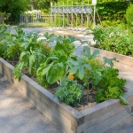 When Green Acres Moved to the City: Urban Farming in 4 Steps