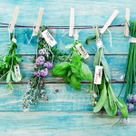 Plant Your Own Garden of Eatin'