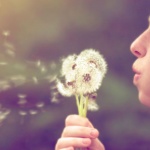 Go Natural: 5 Ways to Treat Summer Allergies