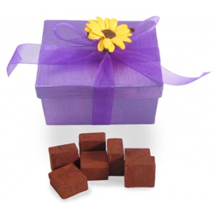 Chocolate Glace - Spring Vegan Dark Chocolate Squares