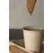 All Natural Biscotti Variety Box - 12 Pack (2 Slices ea)