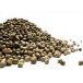 Organic Toasted Hemp Seeds